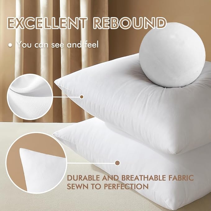 MIULEE 22x22 Inches Pillow Inserts Pack of 2, Decorative Throw Pillow Inserts for Couch