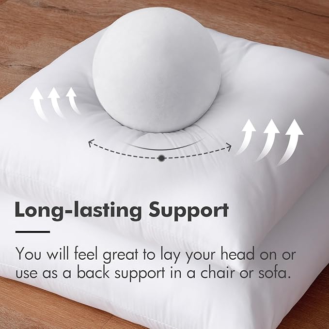 MIULEE Throw Pillow Insert Premium Pillow Stuffer Sham Square Form for Decorative Cushion Bed Couch Sofa 21x21 Inch