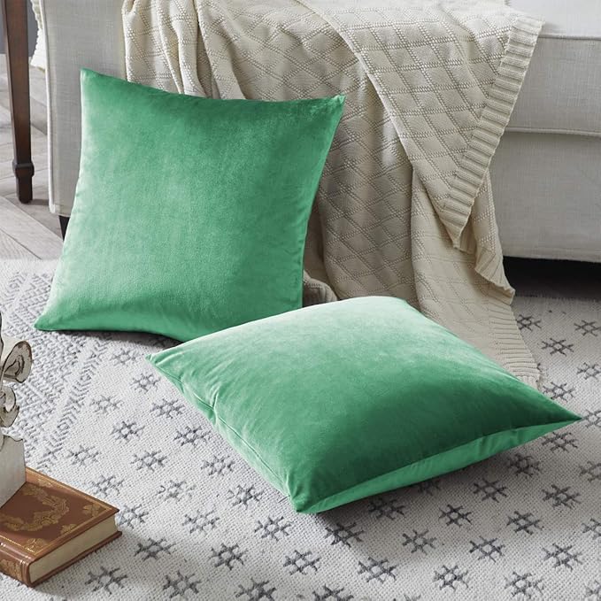 GIGIZAZA Decorative Throw Pillow Covers 16x16,Set of 2 Mint Turquoise Square Couch Pillow Covers,Velvet Sofa Boho Cushion Pillows