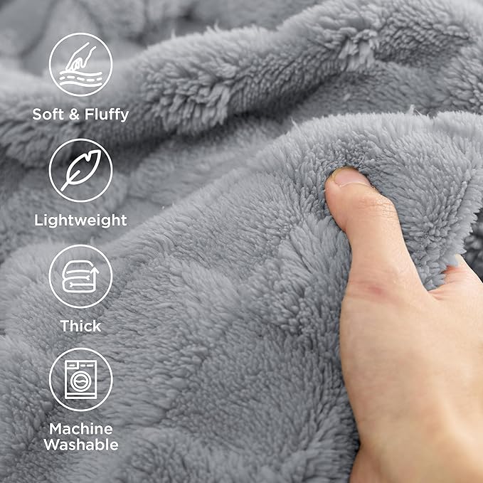 Bedsure GentleSoft Blankets Queen Size for Bed - Super Soft Cozy Blanket for Kids Girls, Large Fuzzy Fleece Throw for Bedroom Decor, Silver Grey, 90x90 Inches