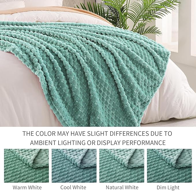 Exclusivo Mezcla Fleece King Blanket for Bed, Extra Large Fuzzy Celadon Bed Blankets, Soft Cozy Plush Sofa Throws for All Seasons, 90x104 Inches