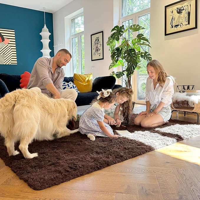 OLANLY 6x7 Area Rugs for Living Room Bedroom, Machine Washable Soft Fluffy Shaggy Bedside Rug, Indoor Floor Carpet for Kids Girls and Boys, Dorms, Nursery Rooms, Home Decor Aesthetic, Coffee