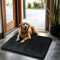 2x3 Fluffy Area Rugs for Bedroom Living Room,Small Soft Shag Fuzzy Rug Non-Shedding Indoor Plush Carpet for Kids Bedroom Nursery Dorm Home Decor,Black