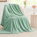 BEDELITE Fleece Throw Blanket for Couch & Bed - 3D Jacquard Decorative Mint Green Blanket, Super Soft and Cozy Warm Fuzzy Blanket All Seasons Suitable, 60x80Inches