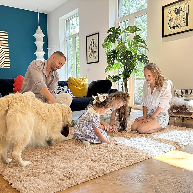 OLANLY 3x4 Machine Washable Accent Rug, Soft Fluffy Shaggy Area Rug for Bedroom, Living Room, Indoor Floor Carpet for Kids, Nursery, Home Decor, Beige