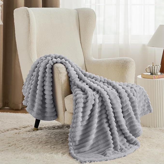 Bedsure GentleSoft Twin Blanket for Couch - Cozy Soft Blankets for Women, Cute Small Fleece Throws for Girls, Light Grey, 60x80 Inches