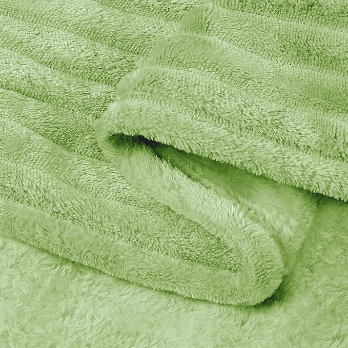 BEDELITE Sage Green Throw Blanket for Couch, 3D Ribbed Jacquard Soft & Cozy Fleece Blanket, Fluffy, Plush Lightweight Spring Throw Blankets for Picnic, Travel, 50x60 Inches