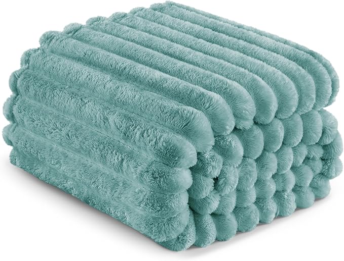 Exclusivo Mezcla Twin Size Flannel Fleece Blanket, Super Soft Striped Jacquard Bed Blanket, Lightweight Fuzzy Cozy for All Seasons, 60x80 Inches, Celadon