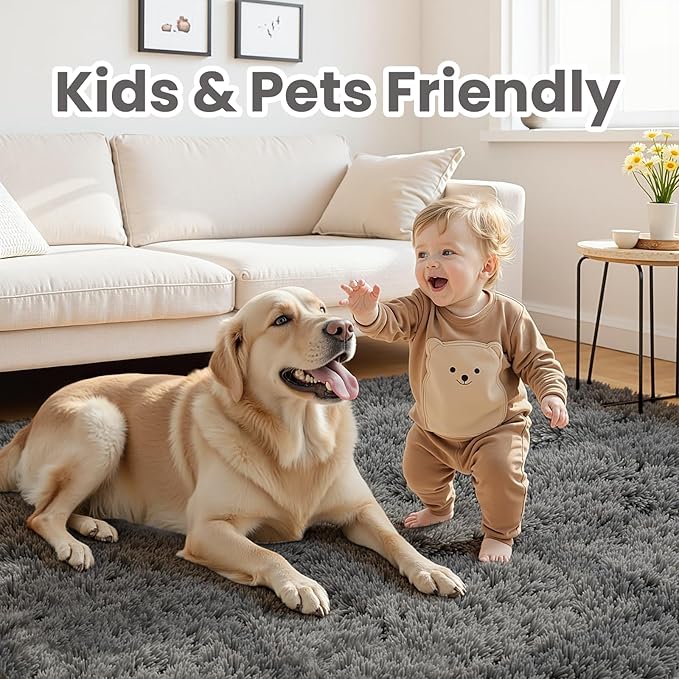 6x9 Area Rugs for Living Room Rug: Soft Fluffy Shag Gray Rugs for Bedroom, Non-Slip Large Fuzzy Plush Rug Indoor Floor Carpet for Nursery Kids Boys Girls Room, Dorms, Playroom, Modern Home Decor