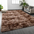 Deerhoo Large Shag Area Rugs 5 x 8, Tie-Dyed Plush Fuzzy Rugs for Living Room, Ultra Soft Fluffy Furry Rug for Bedroom, Indoor Carpet Nursery Rugs for Kids Room Home Decor, Coffee
