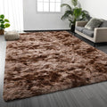Deerhoo Shag Area Rug, 4 X 6 Tie-Dyed Plush Fuzzy Rugs for Living Room, Ultra Soft Fluffy Furry Rug for Bedroom, Indoor Carpet Nursery Rugs for Kids Room Home Decor, Coffee