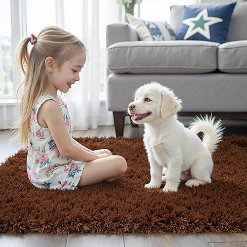 3x5 Rug, Bedside Preppy Dorm Area Rug, College Essentials Small Carpets for Bedroom, Anti Slip Living Room Rugs Home Decor (Coffee, 3 x 5)