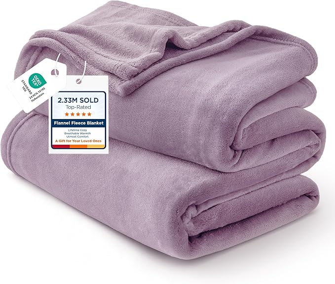 Bedsure GentleSoft Fleece Bed Blankets Queen Size Fog Purple - Soft Lightweight Plush Fuzzy Cozy Luxury Blanket Microfiber, 90x90 inches