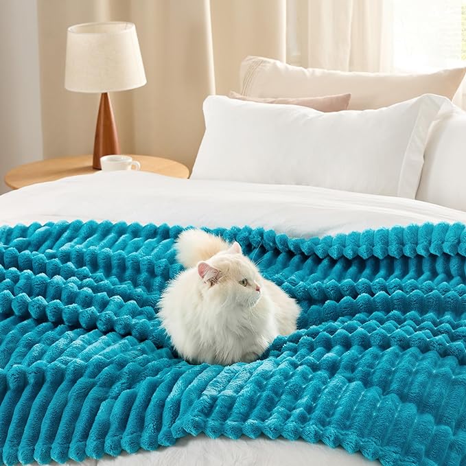 Bedsure GentleSoft Teal Fleece Blanket for Couch - Cozy Soft Blankets for Women, Cute Small Throws for Girls, 50x70 Inches
