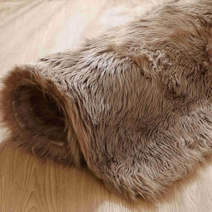 Goolela Fluffy Faux Fur Rug for Bedroom 4x6 Light Brown Beige Sheepskin Fuzzy Furry Soft Rug for Living Room Bedside Dorm Plush Shaggy Washable Rectangle