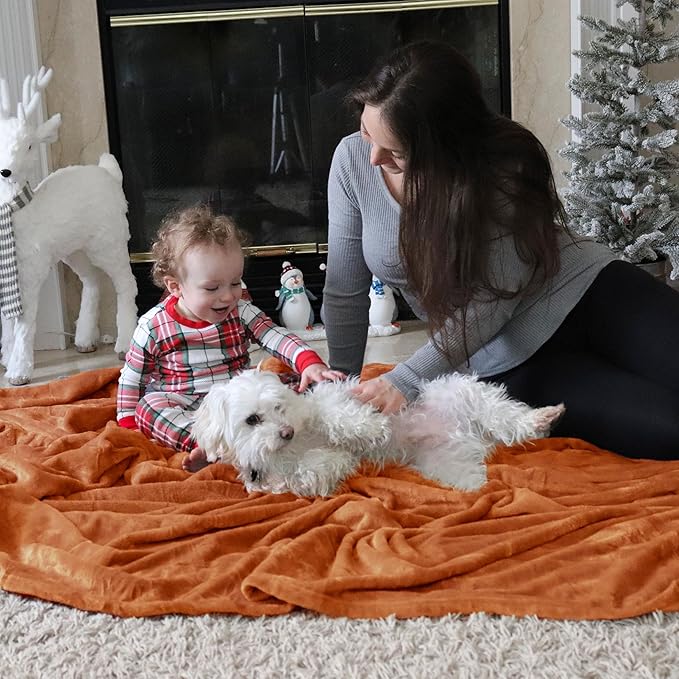 Bedsure GentleSoft Burnt Orange Fleece Throw Blanket - 300GSM Soft Lightweight Plush Cozy Blankets for Bed, Sofa, Couch, Travel, Camping