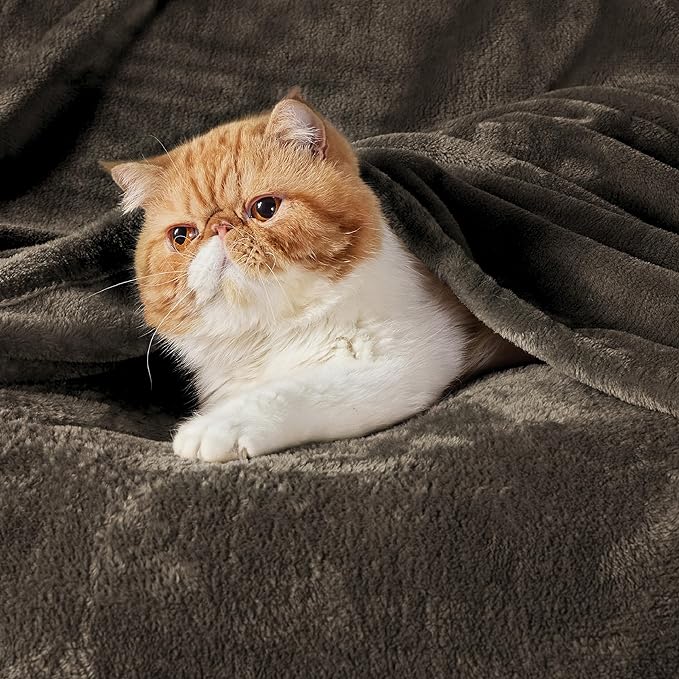 Bedsure GentleSoft Fleece Blanket Twin Size Brown - 300GSM Lightweight Plush Fuzzy Cozy Soft Warm Blanket for Bed, Sofa, Couch, Travel, Camping, 60x80 inches