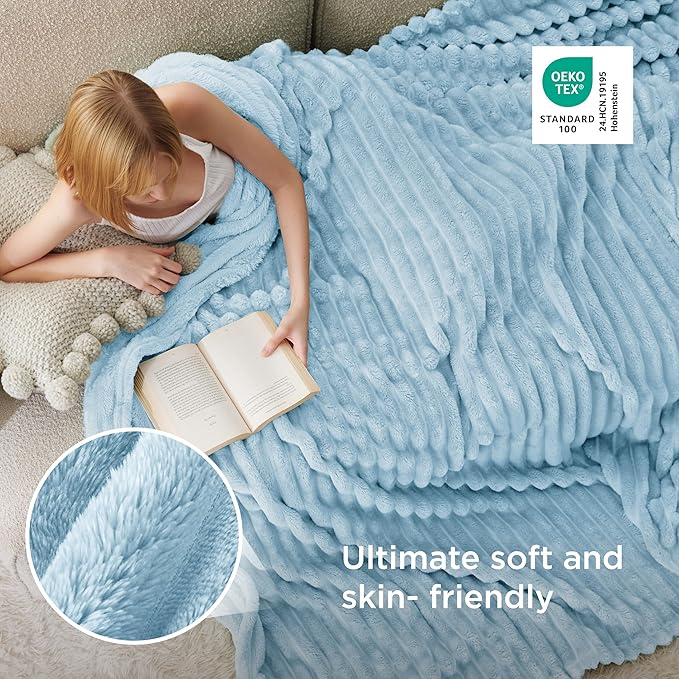 Bedsure GentleSoft Blue Full Blanket for Couch - Cozy Soft Blankets for Women, Cute Small Fleece Throws for Girls, Birthday Gifts for Women Decor Gifts, Light Blue, 84x90 Inches